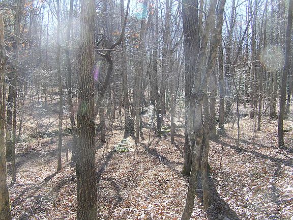 5th image of 977 Dell Ln #78