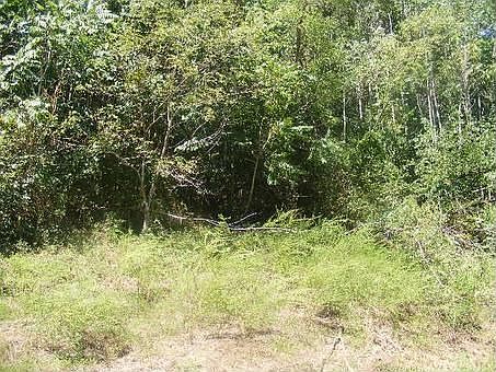 2nd image of 1940 Preacher Holt Rd