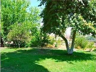 5th image of 16170 Amalfi Dr