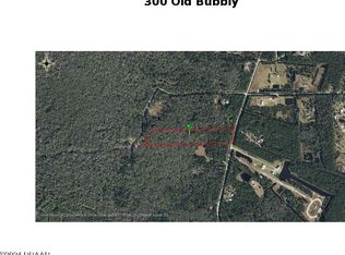 300 Old Bubbly Rd, Pierson, FL 32180