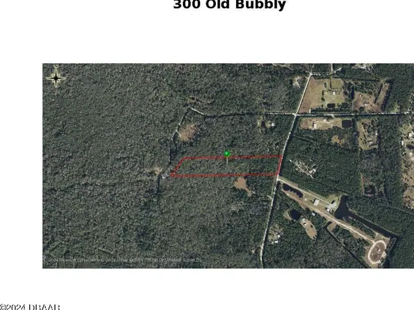 300 Old Bubbly Rd, Pierson, FL 32180