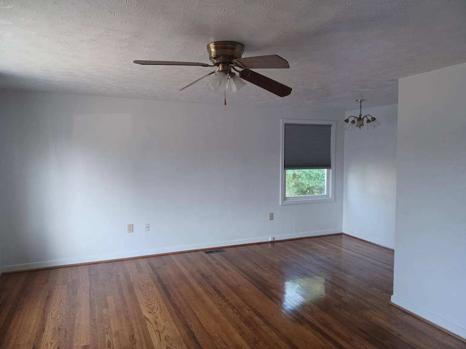 4 bed, 1600 sqft, $1,750 — Photo 1