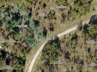 16147 Sheldrake Loop, Brooksville, FL 34614