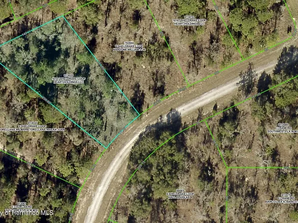16147 Sheldrake Loop, Brooksville, FL 34614