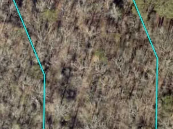 0 Beaver Run Trce, Thomaston, GA 30286