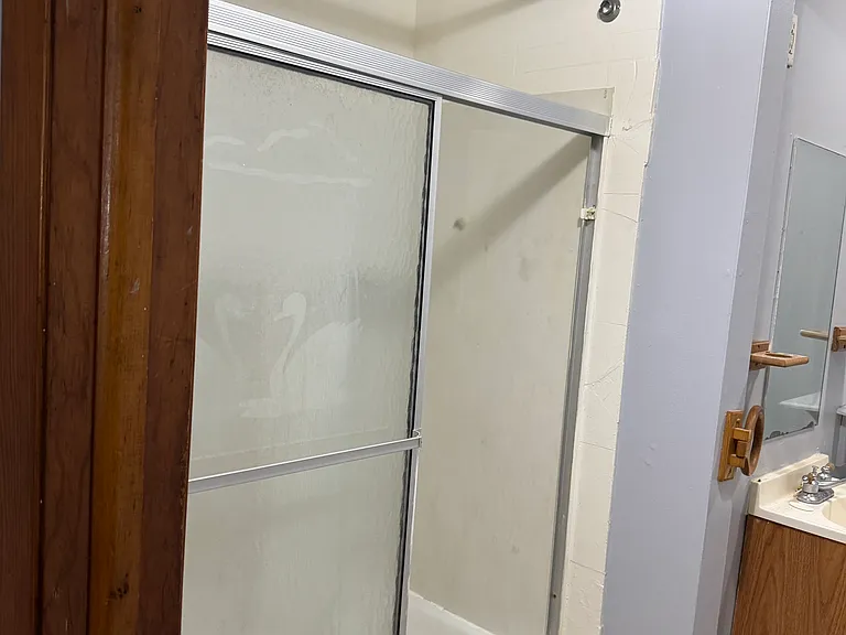 Bathroom Shower/tub