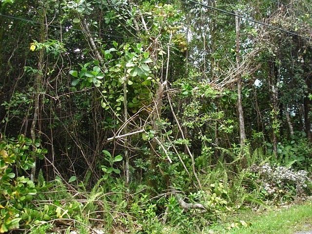 2nd image of H Ave Lot 3033
