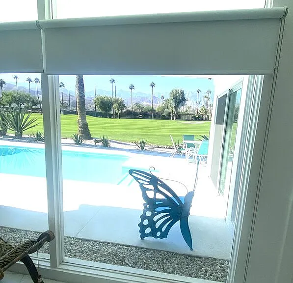 37641 Peacock Cir — Photo 28