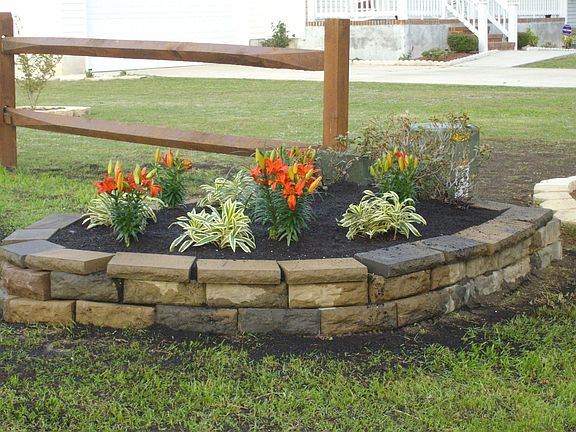 garden in front yard