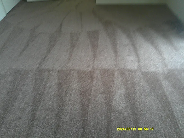 Faris — Photo 44