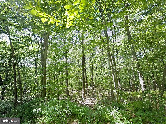 2nd image of 0 Weaver Woods Rd