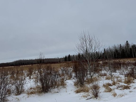 5th image of White Rd