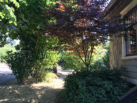 Landscaped yard maintained by service paid for by owner.
