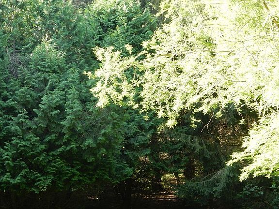 3rd image of 30500 State Road 4
