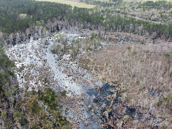 4th image of 237 Nursery Rd