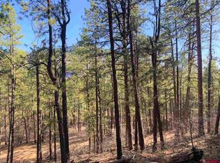 413 E Forest Lakes Dr, Bayfield, CO 81122