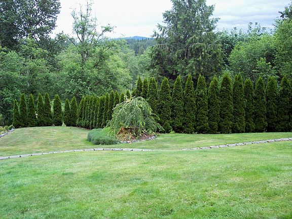 front yard