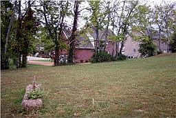 Enjoy your yard with mature trees  