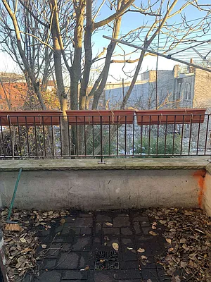 Rented by Alpine Realty | media 25