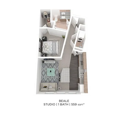 Floor plan Studio - 559 sqft