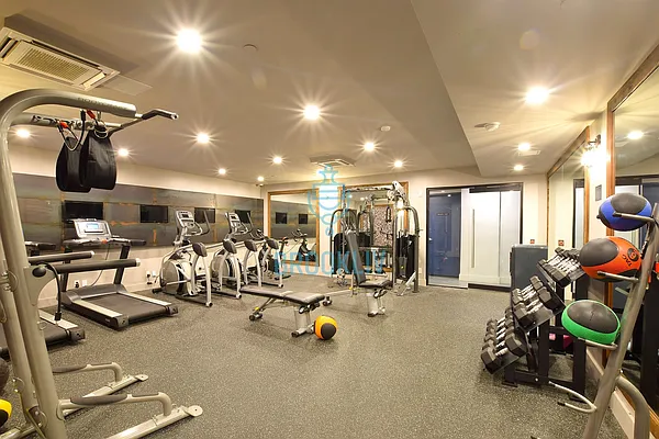 Rented by null | media 44