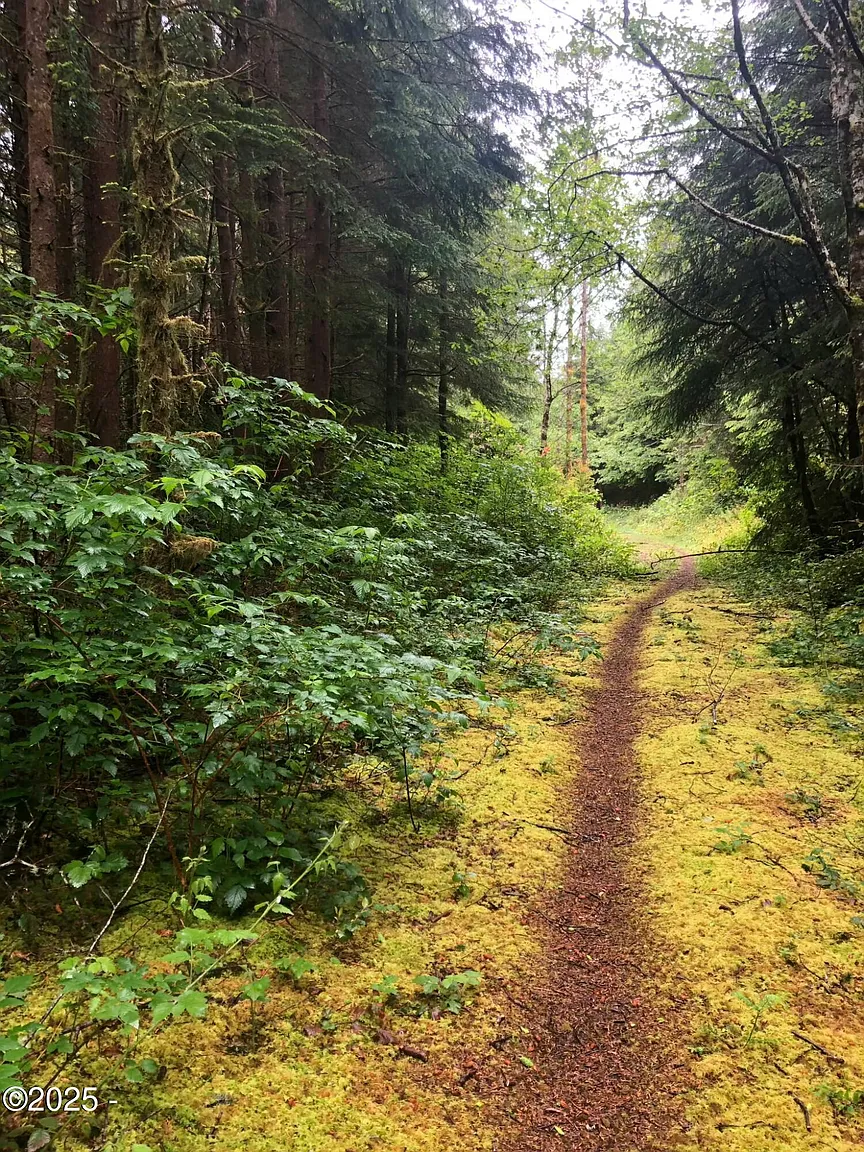 Tl 500 Se Chittum Dr photo 1