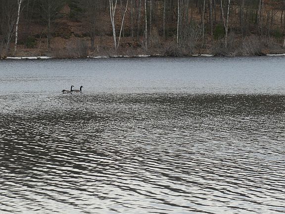 5th image of V/l W Buchanan Rd