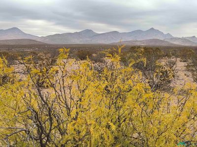 46 Norrick Rd, Rodeo, NM, 88056