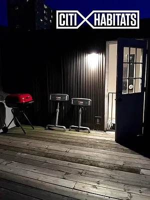 Rented by Citi Habitats | media 47