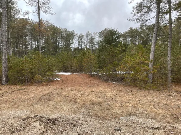 V/l West Pne, Hart, MI 49420