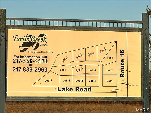 4th image of Tortoise Trl