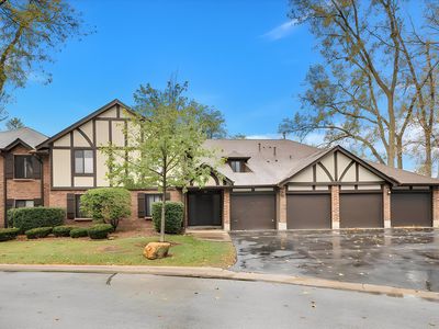 8254 Chestnut Dr #1A, Palos Hills, IL, 60465
