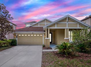 20106 Bending Creek Pl, Tampa, FL 33647