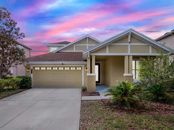 20106 Bending Creek Pl, Tampa, FL 33647