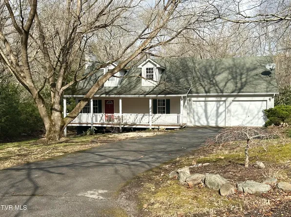 105 Beech Ln, Roan Mountain, TN 37687