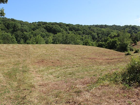 Open pasture and woods