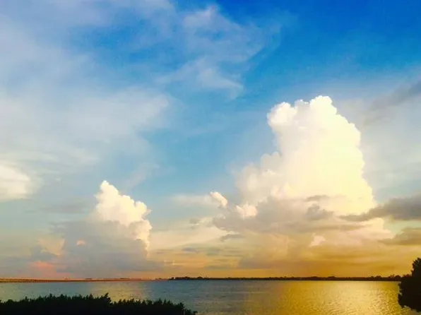 228 Sky Harbor Dr, Clearwater, FL 33759