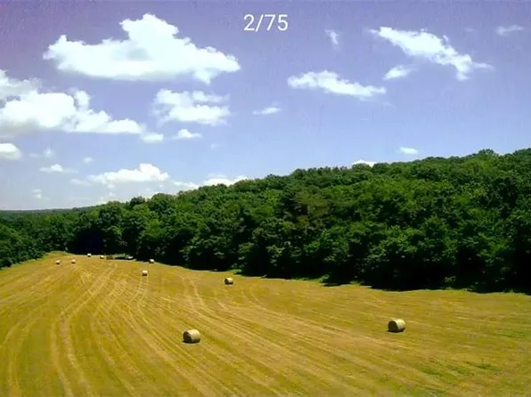 0 Gibbs Cemetery Rd, Steelville, MO 65565