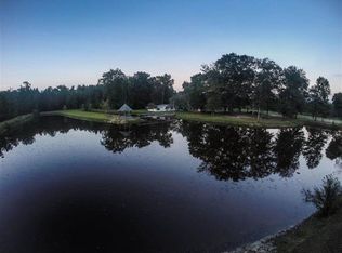 161 Gooseneck Rd, Hawkinsville, GA 31036