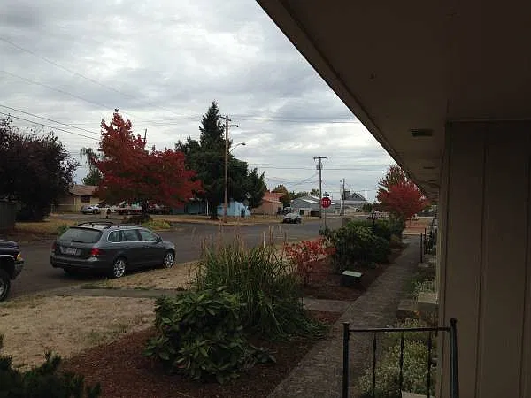 2 bed, 850 sqft, $1,480 — Photo 3