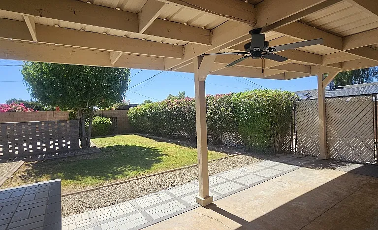 Backyard