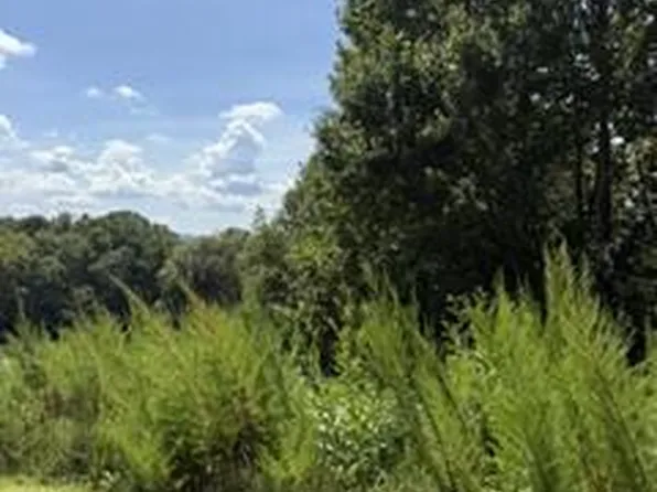 62 Big Valley Dr, Morganton, GA 30560