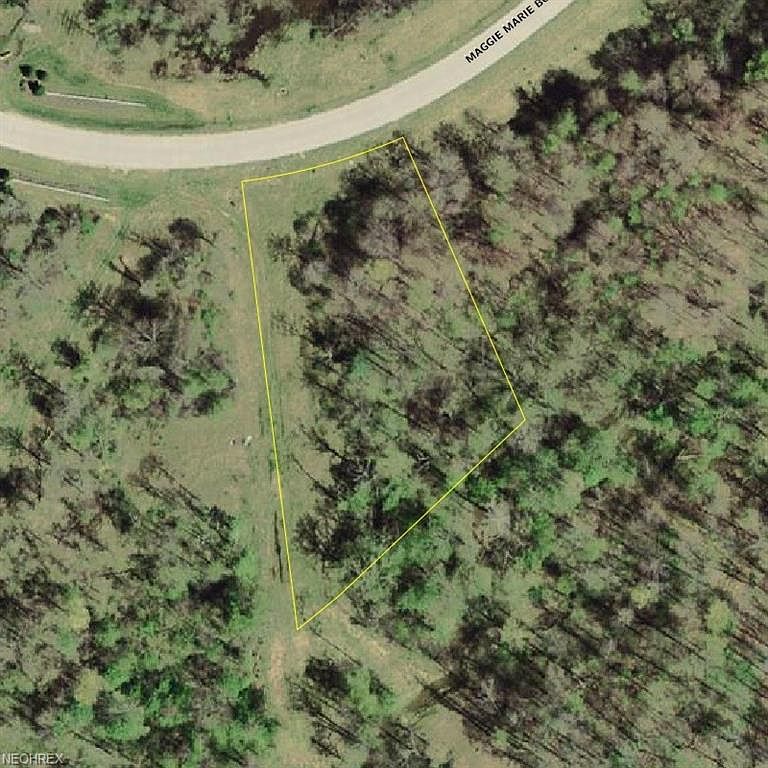 4546 Maggie Marie Blvd, Medina, OH 44256 Zillow