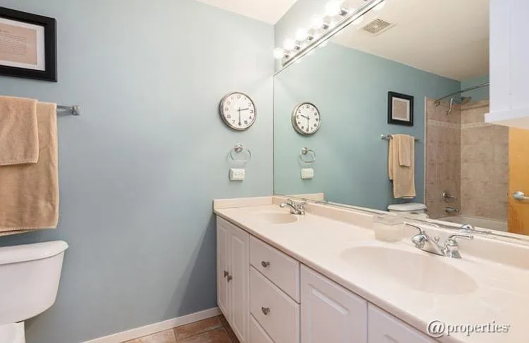 1307 S Wabash Ave #202 — Photo 6