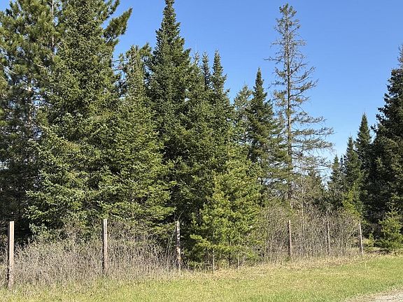 3rd image of 40 ac COUNTY RD X / DEER LAKE ROAD