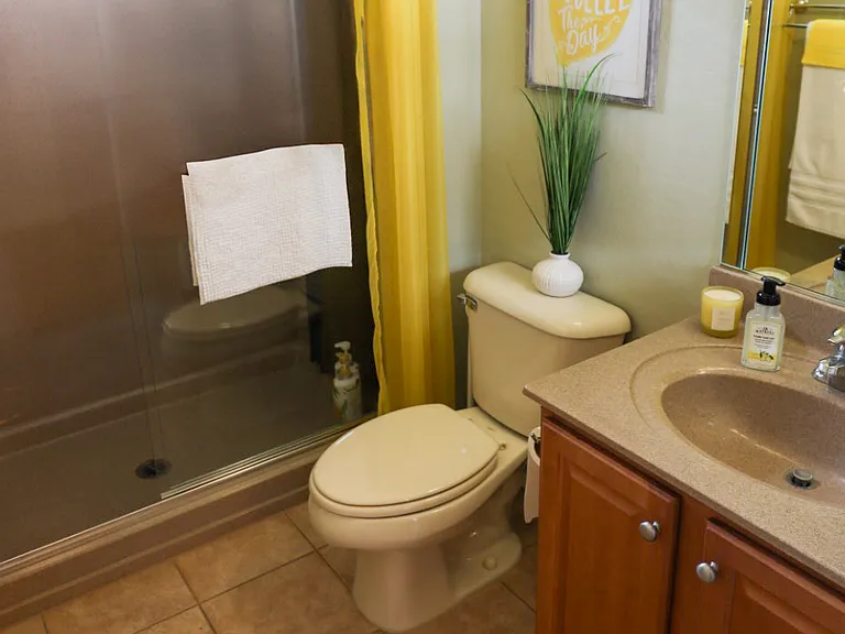 Spare bathroom