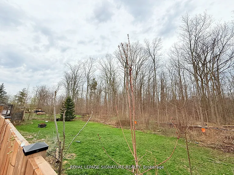 38 Burnhamthorpe Rd W — Photo 10
