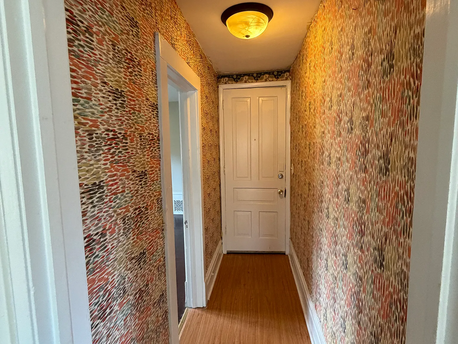 1 bed, $900 — Photo 3