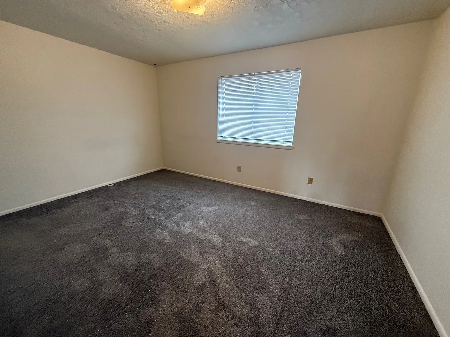 2 bed, 800 sqft, $900 — Photo 4