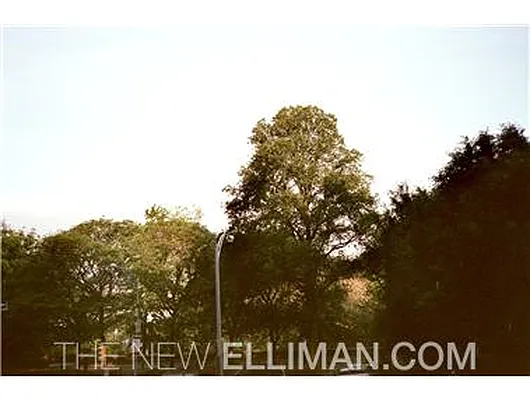 Sold by Douglas Elliman | media 14